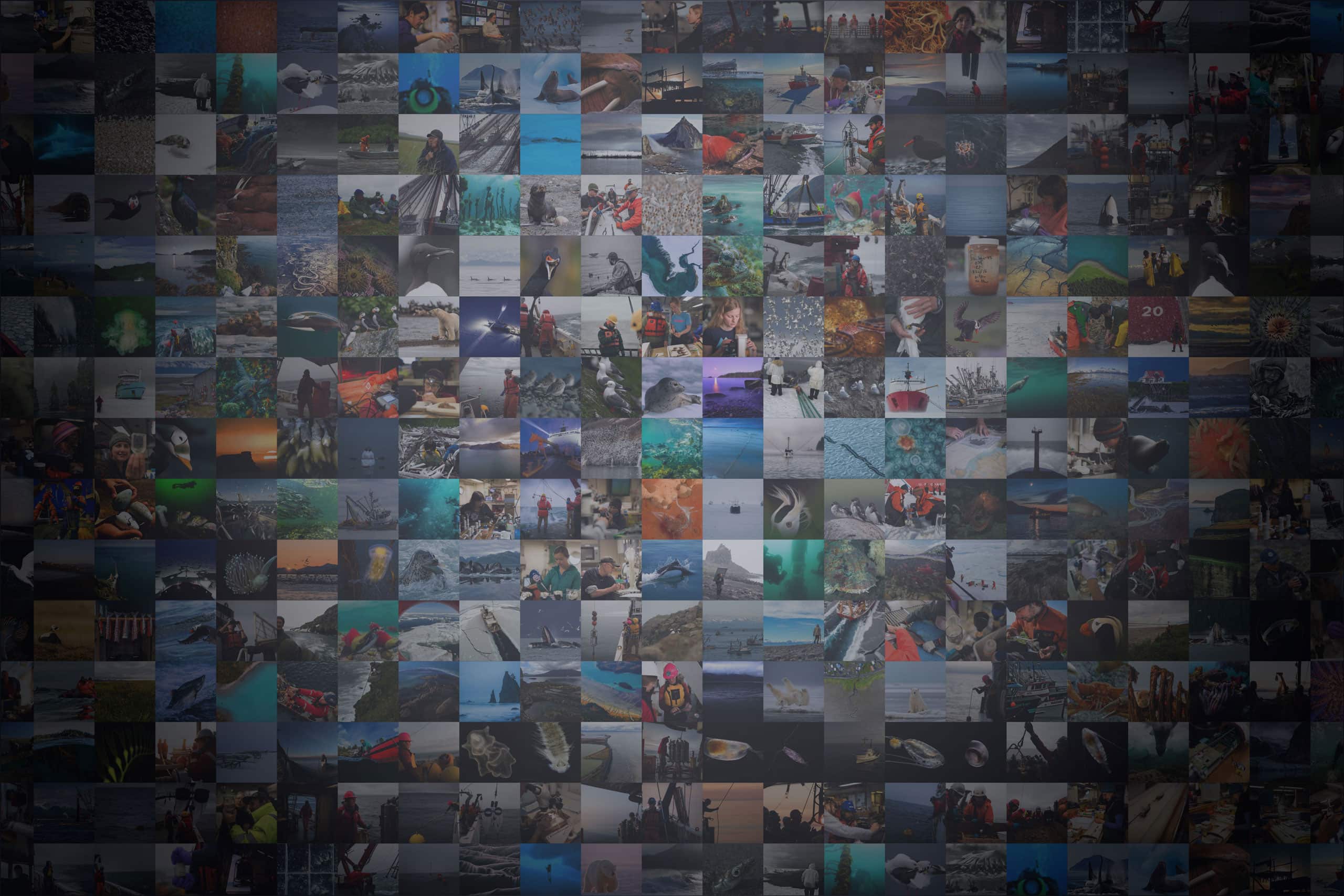 2026 North Pacific Research Board Photography Awards