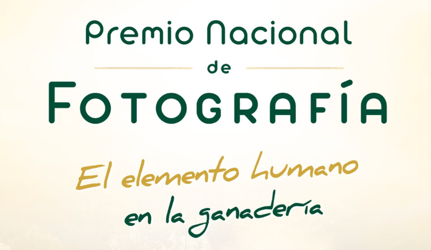 Premio de Fotografía Fundación Ricardo Delgado Vizcaíno